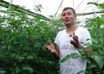 Moldova La Pachet | 03.07.2021