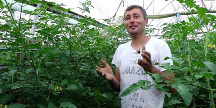 Moldova La Pachet | 03.07.2021