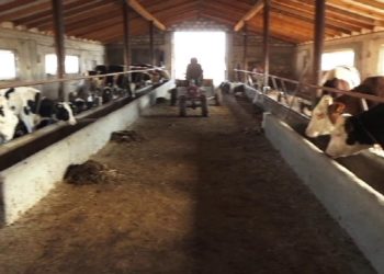 Moldova La Pachet | 15.11.2021