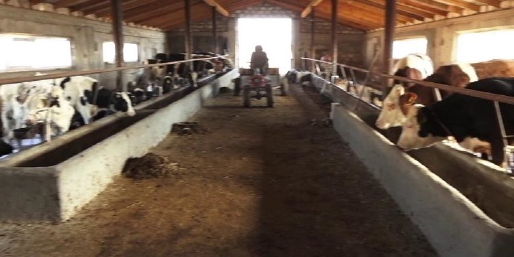 Moldova La Pachet | 15.11.2021