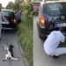 Preotul Valuța, cel care a legat un câine de mașină și l-a târât pe asfalt, dat afară de Mitropolia Moldovei | VIDEO