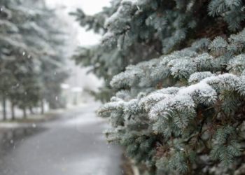 Ninge ca-n poveste, în nordul țării. Ce prognozează meteorologii pentru zilele următoare | VIDEO