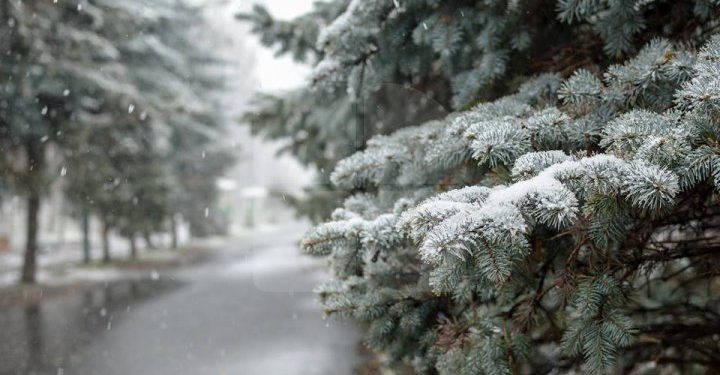 Ninge ca-n poveste, în nordul țării. Ce prognozează meteorologii pentru zilele următoare | VIDEO