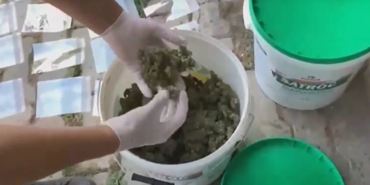 Tată și fiu – trimiși în judecată, după o captură de droguri de peste 300.000 lei | VIDEO