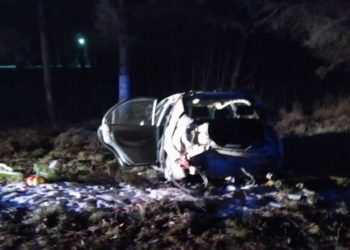 Un tânăr, spitalizat după ce mașina în care se afla s-a izbit de un copac, la Dondușeni