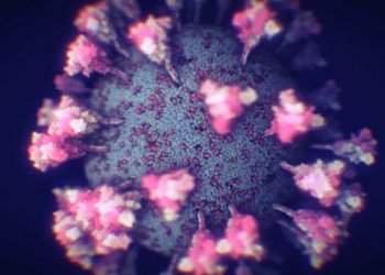 Раскрыт секрет молниеносного распространения «омикрона»