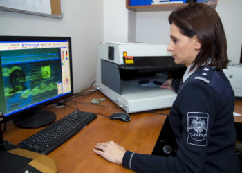 Фальшивые паспорта нашли на таможне в Чадыр-Лунге