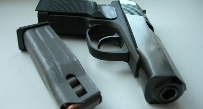 Хранила пистолет покойного мужа в шкафу: женщине-инвалиду в Гагаузии суд назначил наказание