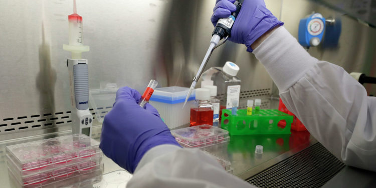Японские ученые разрабатывают пожизненную вакцину от COVID-19