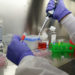 Японские ученые разрабатывают пожизненную вакцину от COVID-19