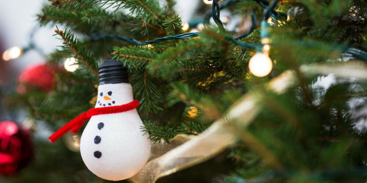 Un brad imens din țară, doborât de vântul puternic | FOTO