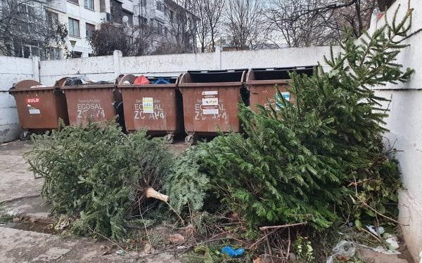 Unde putem recicla brazii de Crăciun? Primăria anunță punctul de colectare