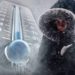 Vine un nou val de ger. Vezi ce temperaturi vor fi în următoarele zile