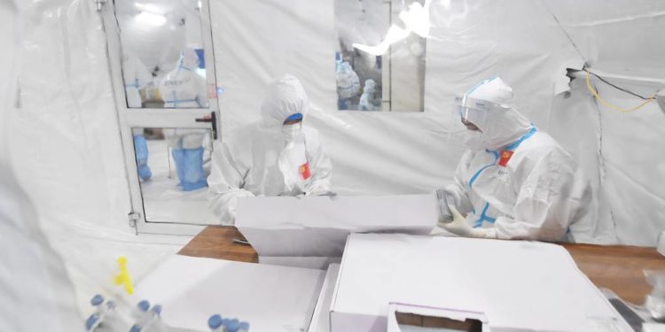 В ЮАР обнаружили новый коронавирус. Он может быть опасен для людей