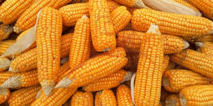 Турция разблокировала суда с кукурузой из Молдовы