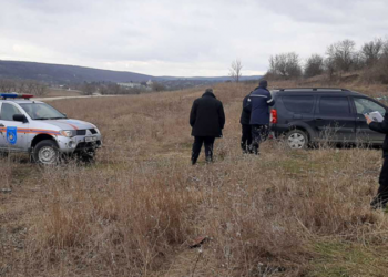 Raionul Telenești, în alertă: Mai multe păsări, nimicite, după ce a fost confirmat un focar de Gripă Aviară | VIDEO