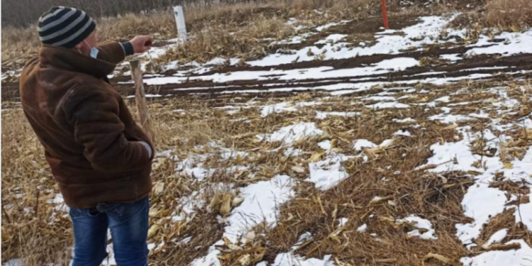 Un moldovean, prins în timp ce trecea ilegal frontiera. Ce explicații a oferit polițiștilor