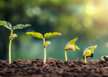 Asigurarea în agricultură: Cota de subvenționare a primelor rămâne neschimbată