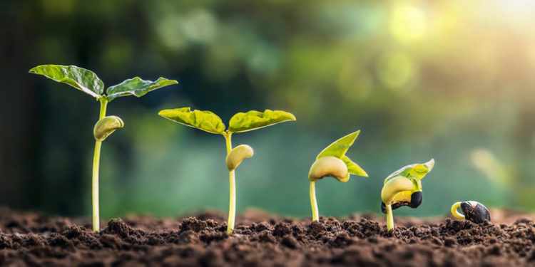 Asigurarea în agricultură: Cota de subvenționare a primelor rămâne neschimbată