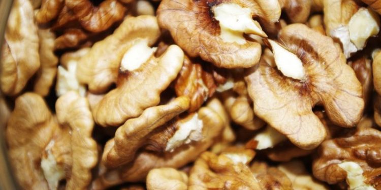 Furt la un depozit de nuci din Ialoveni. Paguba a fost estima la circa 200 mii lei