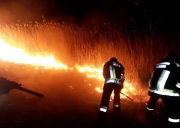 Trei incendii, provocate de persoane care au dat foc ierbii uscate și resturilor menajere