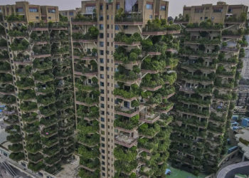 В Китае появится огромное здание с лесом внутри