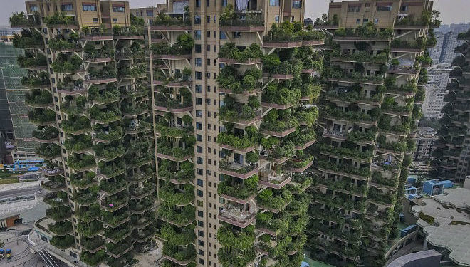 В Китае появится огромное здание с лесом внутри