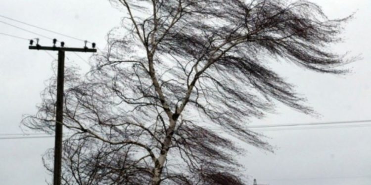 Vântul puternic revine. Meteorologii au emis Cod Portocaliu de vijelie, valabil până marți seara pe întreg teritoriul țării | VIDEO