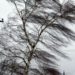 Vântul puternic revine. Meteorologii au emis Cod Portocaliu de vijelie, valabil până marți seara pe întreg teritoriul țării | VIDEO