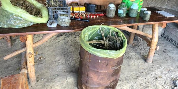 Afacere cu droguri deconspirată de ofițerii INI. Un bărbat din Orhei avea acasă droguri de 2.000.000 de lei | VIDEO