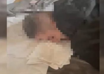 Droguri în valoare de peste 2 milioane lei, găsite în camera de hotel a unui tânăr de 24 de ani | VIDEO