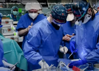 Transplant în premieră mondială. Un american a primit o inimă de porc: «Aveam de ales fie moartea, fie acest transplant» | VIDEO