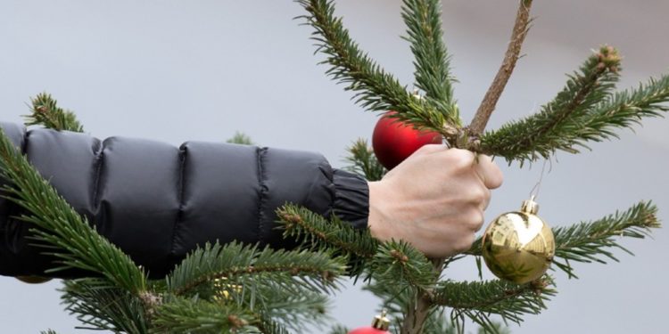 До 11 февраля в столице соберут новогодние елки