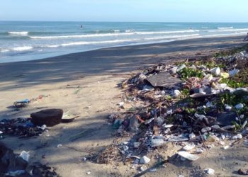 Человечеству грозит неизбежный пластиковый кризис