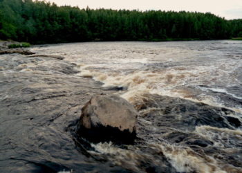 Ученые измерили содержание лекарств в реках по всему миру — и назвали его уровень угрозой для человечества
