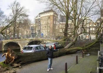 Жертвами шторма в Британии и Нидерландах стали шесть человек