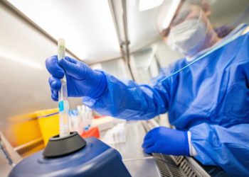 В Африке выявили подвид омикрон-штамма, который трудно обнаружить