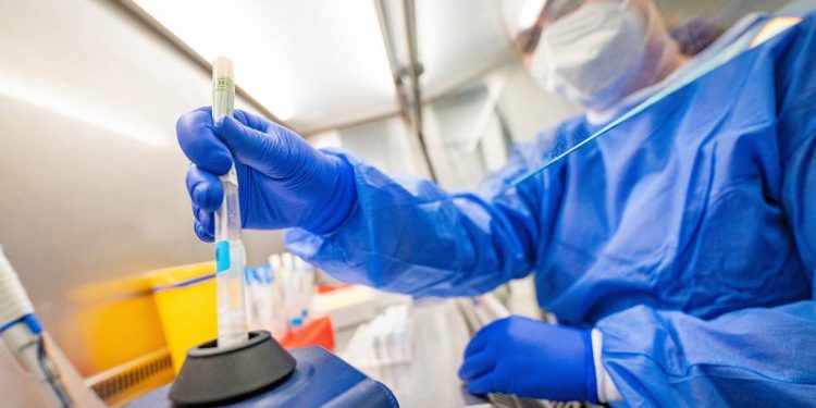 В Африке выявили подвид омикрон-штамма, который трудно обнаружить