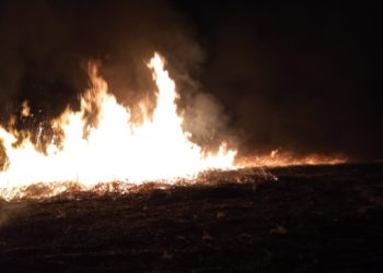 Opt ore de luptă cu flăcările care au cuprins 100 de Ha de teren. Cum au reușit pompierii și polițiștii de frontieră să salveze de incendiu Rezervația Naturală Prutul de Jos | VIDEO