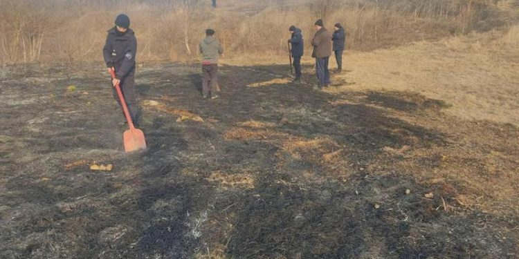 Incendiu de vegetație în apropiere de sectorul Poliției de Frontieră Gotești: Timp de o oră s-au luptat cu flăcările | VIDEO