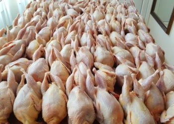 Scumpirile se țin lanț: Prețul cărnii de pasăre s-a majorat cu circa 7%. Explicațiile producătorilor | VIDEO