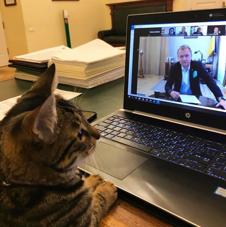 Cum a pus stăpânire o pisică pe primăria unui oraș din Ucraina. Participă acum la toate ședințele și întâlnirile oficiale
