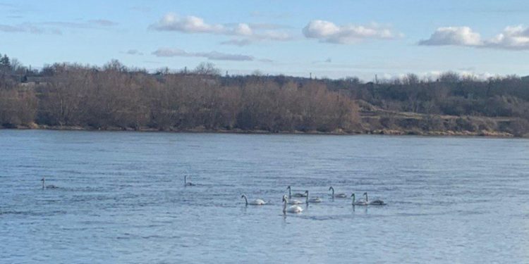 Risc de creştere a nivelului apei în Nistru. Avertizările hidrologilor