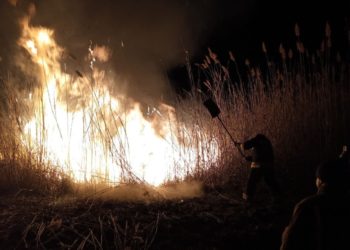 Pompierii din sudul țării au salvat de incendiu Rezervația Prutul de Jos | VIDEO