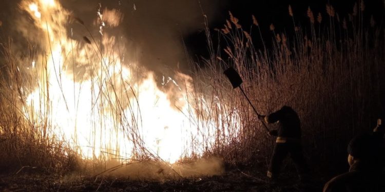 Pompierii din sudul țării au salvat de incendiu Rezervația Prutul de Jos | VIDEO
