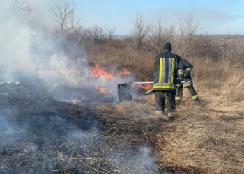 Incendiu în capitală: Mai multe hectare de vegetație au fost cuprinse de flăcări | FOTO