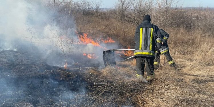 Incendiu în capitală: Mai multe hectare de vegetație au fost cuprinse de flăcări | FOTO