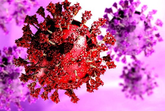 OMS le taie tuturor din elan: Un nou val Omicron se îndreaptă spre Estul Europei