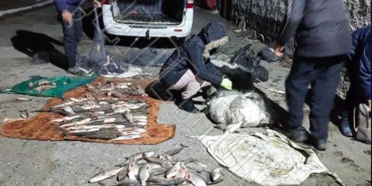 Doi moldoveni au prins ilegal peste 100 kg de pește în apele de frontieră | VIDEO