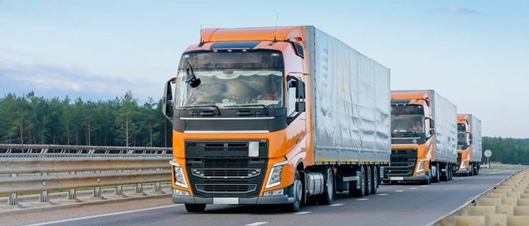 Латвия и Венгрия разрешили транзит молдавских грузоперевозчиков по своей территории без разрешений